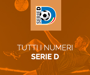 Serie D tutti i numeri